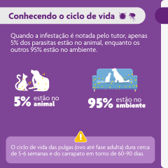 BRAVECTO 250MG 1X1TAB 150