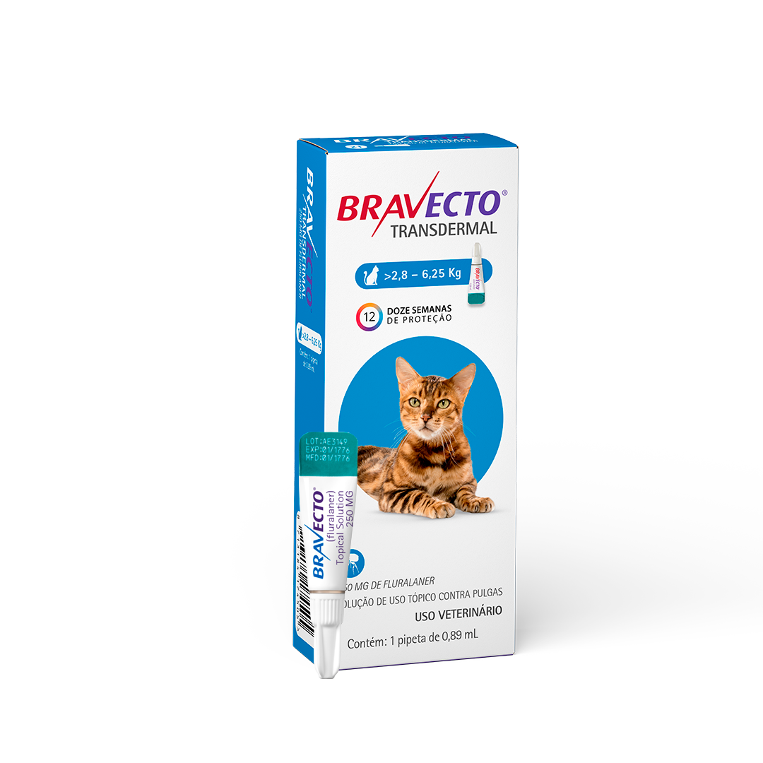 BRAVECTO TRANSDERMAL CAT 250MG 1X1DS 150