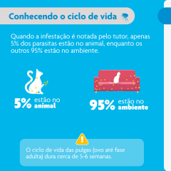 BRAVECTO PLUS FOR CAT 500MG 1X1DS 150