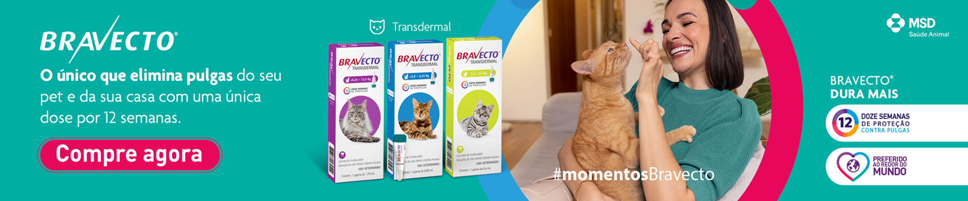 Bravecto Gatos