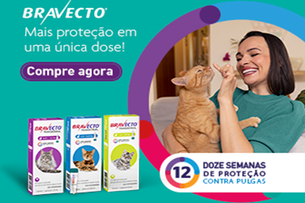 Bravecto Gatos
